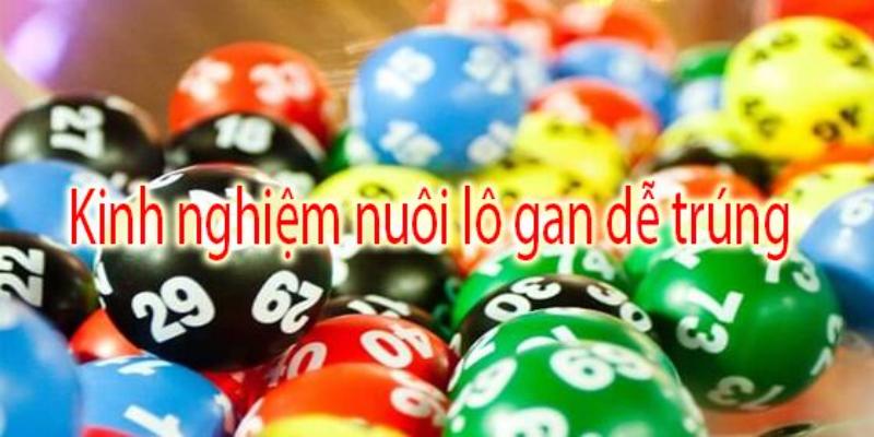 Cách chơi hiệu quả lô gan là gì - Dựa vào nhận định 