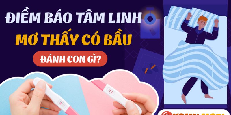 Bộ số đề liên quan đến giấc mơ có bầu